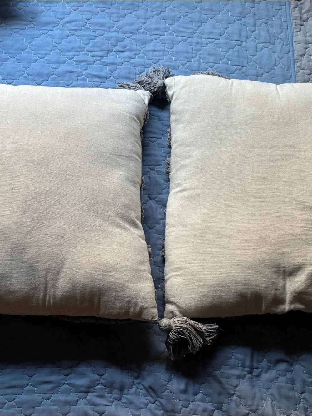 Neutral Cream and Gray Textured Tassel Throw Pillow Pair